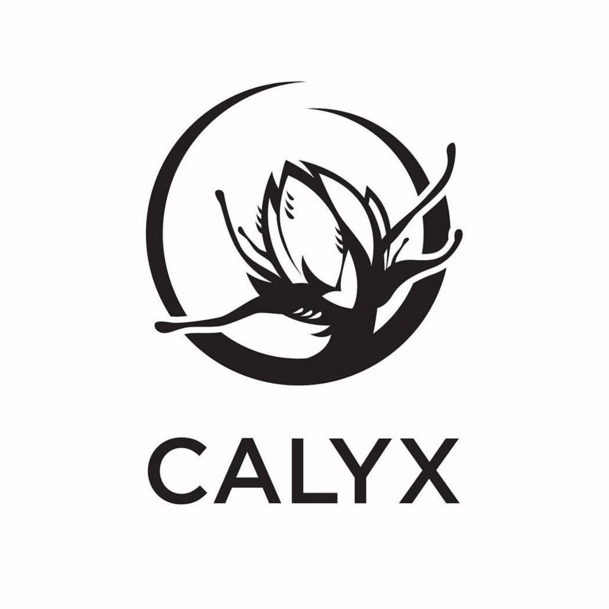 Calyx Wellness - Bulk Food Warehouse